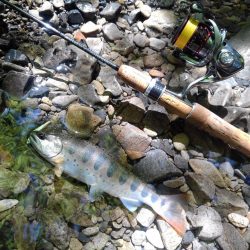 渓流ミノーイング